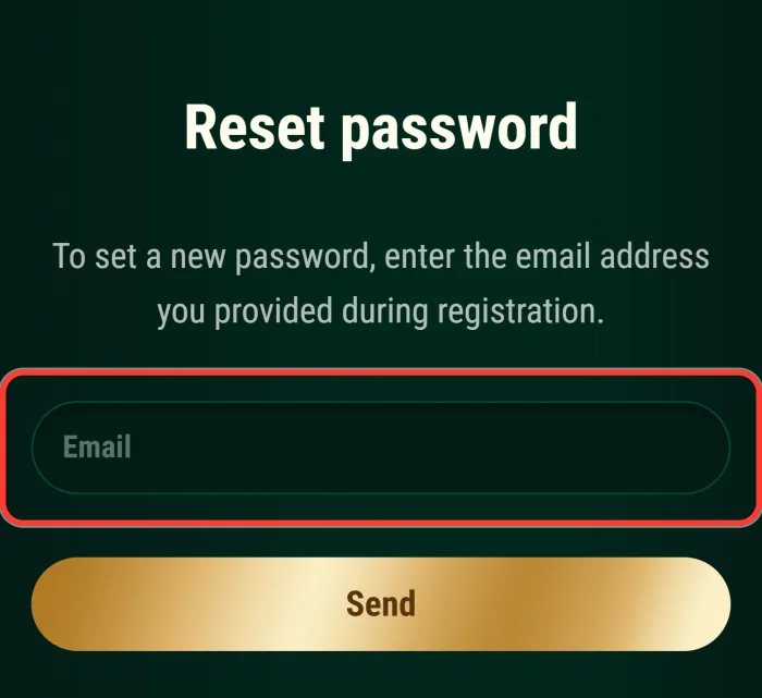 Email field on the Richard Casino reset password screen